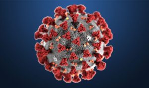 Lee más sobre el artículo Coronavirus: recomendaciones y normativa
